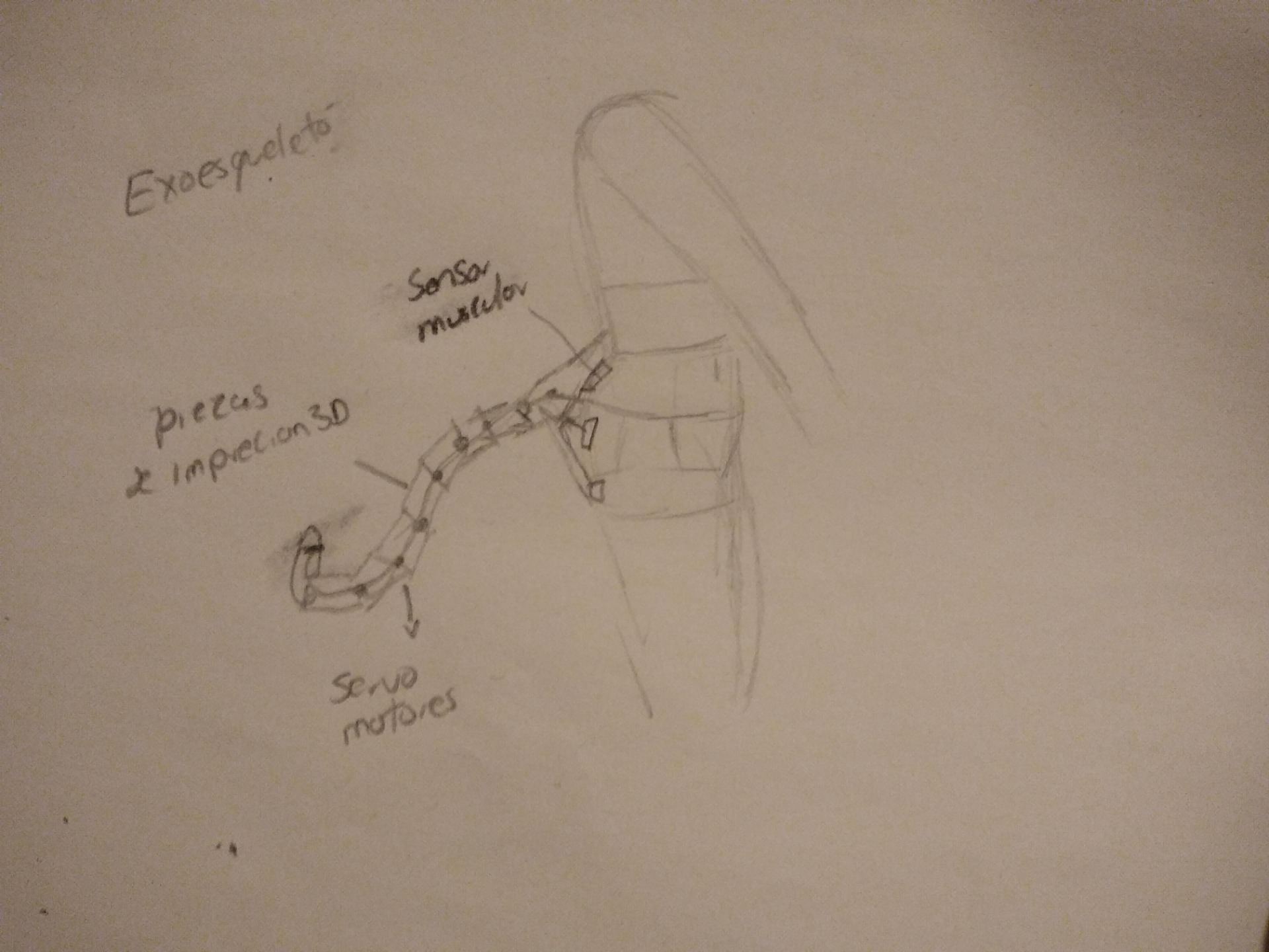 Boceto de la forma de la cola robótica, se muestran las partes y como se sostendría al cuerpo de forma especulativa.